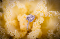 Zvi & Reema Engagement
